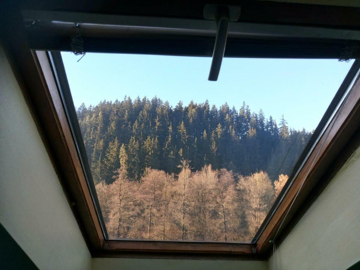 Penzion Havaj Karlovy Vary Bagian luar foto